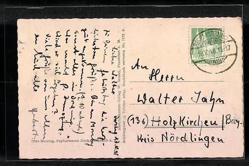 AK Neckarsteinach a. Neckar, Ortsansicht mit Flusspartie