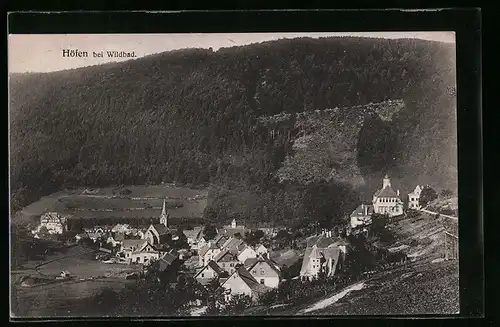 AK Höfen bei Wildbad, Ortsansicht mit Landschaft