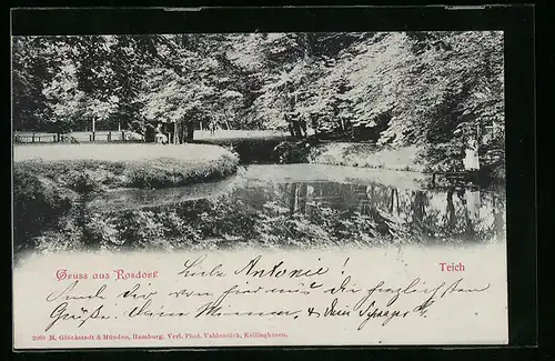 AK Rosdorf, Partie am Teich