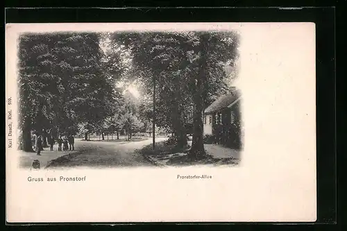AK Pronstorf, blick auf die Pronstorfer-Allee