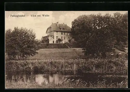 AK Fallingbostel, Villa im Walde