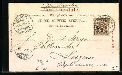 AK Neuchatel, Wappen Neuchatels, Weintraube und Weinblatt