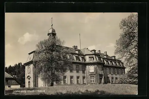 AK Liebenburg /Harz, Das Schloss