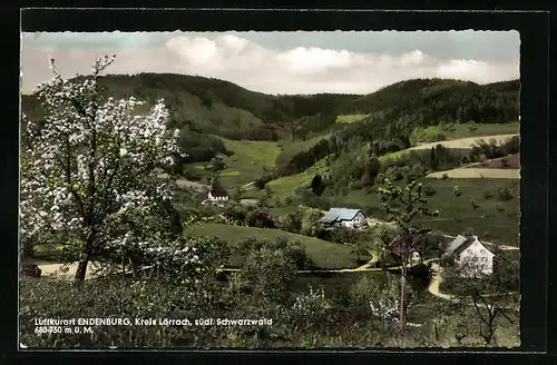 AK Endenburg /Kr. Lörrach, Ortsansicht mit Umgebung