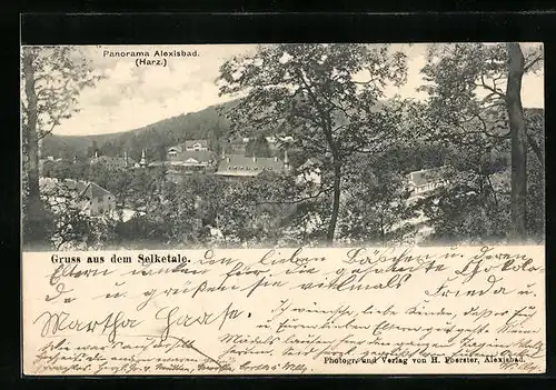 AK Alexisbad /Harz, Blick in das Selketal