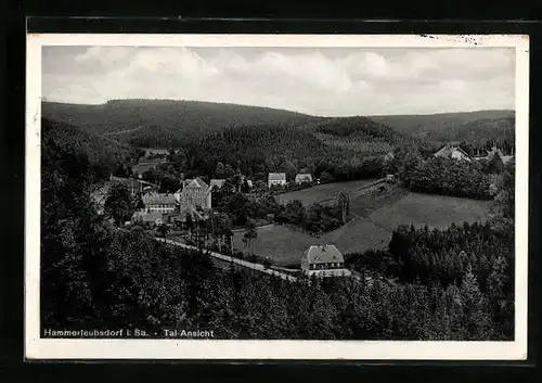 AK Hammerleubsdorf i. Sa., Tal-Ansicht