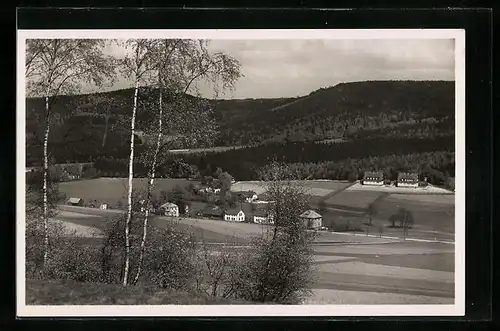 AK Erlbach i. Vogtl., Gebirgssommerfrische mit Wintersportplatz am Hohen Stein