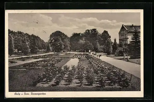 AK Stolp i. Pom. Blick auf den Rosengarten