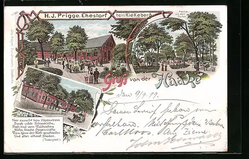 Lithographie Ehestorf, Haake, Inh.: H. J. Prigge, Partie aus dem Garten