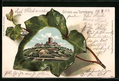 Passepartout-Lithographie Durlach, Turmberg in einem Weinblatt