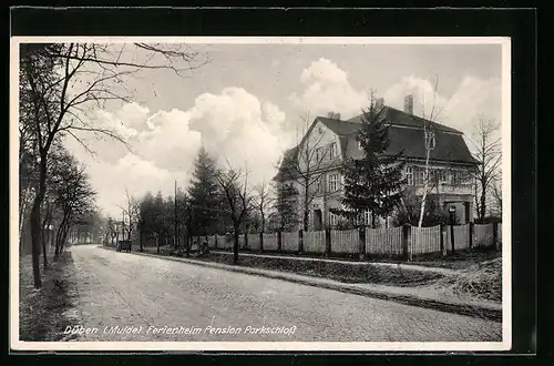 AK Düben /Mulde, Ferienheim Pension Parkschloss