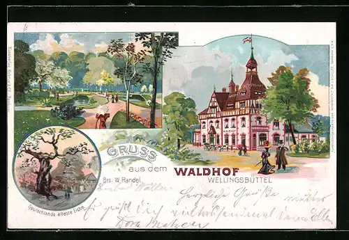 Lithographie Hamburg-Wellingsbüttel, Gasthof Waldhof, Park, Deutschlands älteste Eiche