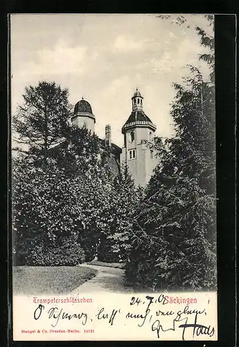 AK Säckingen, Trompeterschlösschen