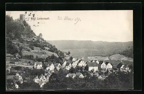 AK Bad Liebenzell, Ortsansicht aus der Vogelschau