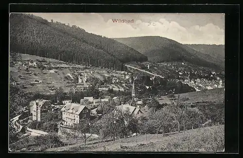 AK Wildbad, Ortsansicht aus der Vogelschau