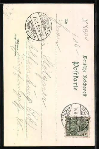 Lithographie Netzschkau, Totalansicht, Göltzschthalbrücke und Elsterthalbrücke