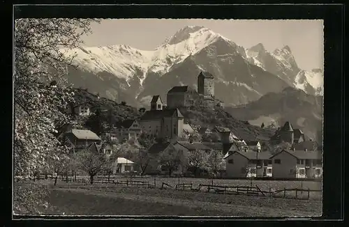 AK Sargans, Ortsansicht mit Schloss und Falknis