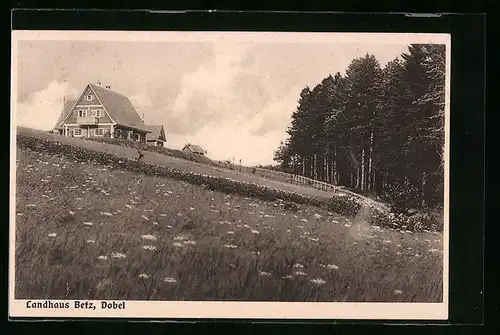 AK Dobel, Blick auf das Landhaus Betz