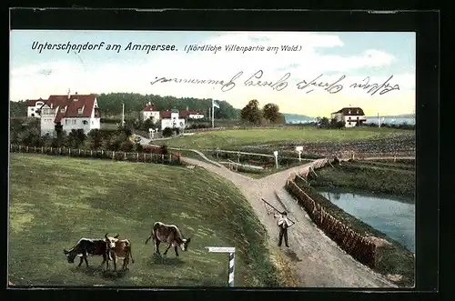AK Unterschondorf /Ammersee, Nördliche Villenpartie am Wald