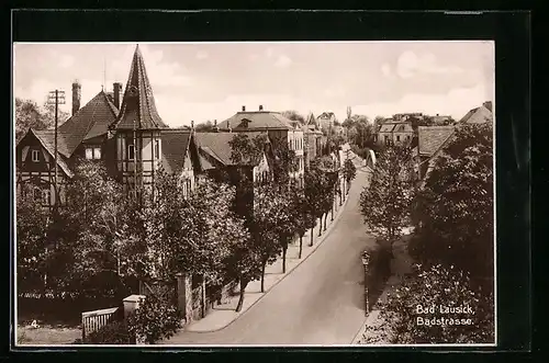 AK Bad Lausick, Badstrasse aus der Vogelschau