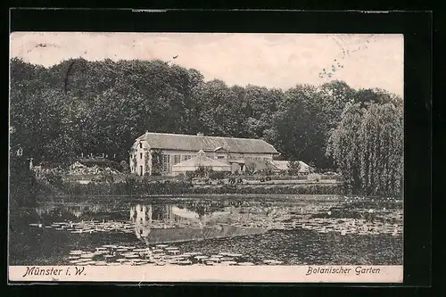 AK Münster i. W., Partie im Botanischen Garten