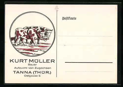 Künstler-AK Tanna /Thür., Bauer Kurt Müller, Aufzucht von Zugochsen, Oelgasse 5