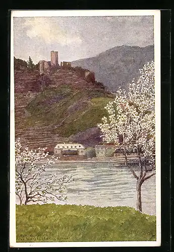 Künstler-AK Rudolf Schmidt: Hinterhaus a. d. Donau, Blick zur Ruine