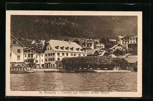 AK St. Wolfgang, Gasthof und Pension weisser Hirsch