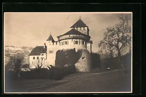 AK Vaduz, Schloss Vaduz von der Strasse aus