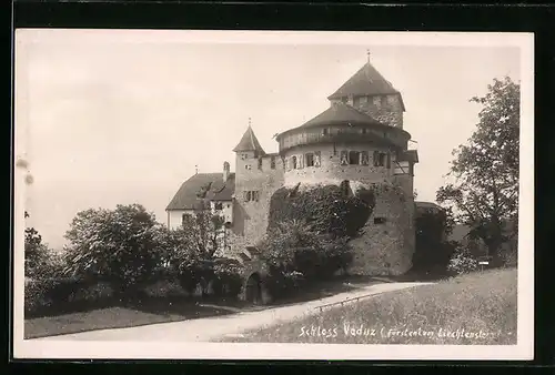 AK Vaduz, Schloss Vaduz mit Hofeingang
