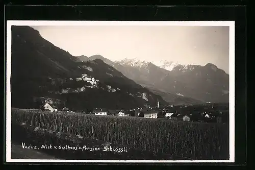 AK Vaduz, Blick von Gasthaus und Pension Schlössli