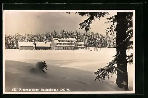 AK Spindelmühle, Blick auf die Davidsbaude im Winter