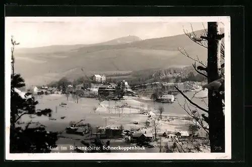 AK Hain, Winteridylle mit Schneekoppenblick