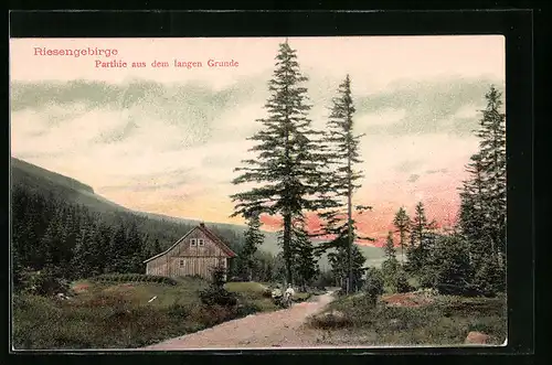 AK Langer Grund /Riesengebirge, Landschaftsbild mit einsamer Holzhütte