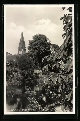 AK Regenwalde, Blick von der Regabrücke
