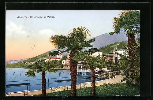 AK Abbazia, Un gruppo di Palme