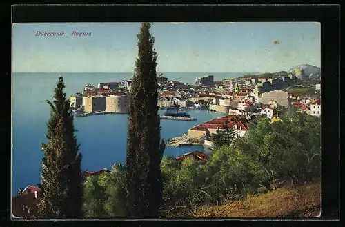 AK Dubrovnik, Panorama mit Zypressen