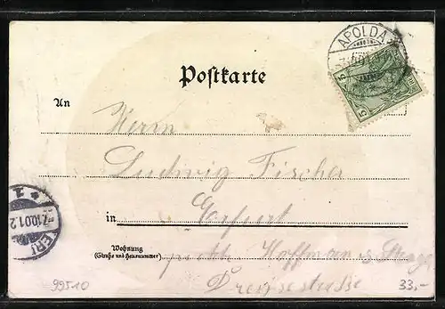 Lithographie Apolda, Rathaus, Sophienschule, Luther Kirche