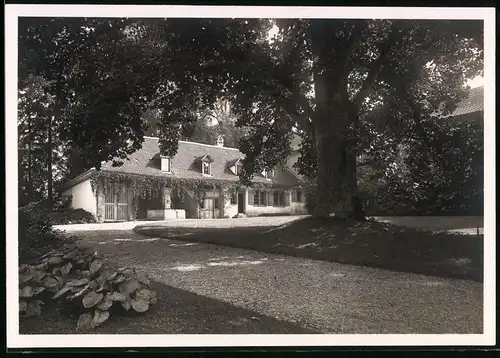 Fotografie J. Gaberell, Thalwil, Ansicht Wädenswil, Partie auf dem Schlosshof