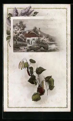 Passepartout-AK Frühlingsidylle und Maikäfer auf Birkenzweig