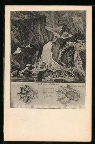 Künstler-AK Fischotter unter einem Wasserfall, nach altem Kupferstich