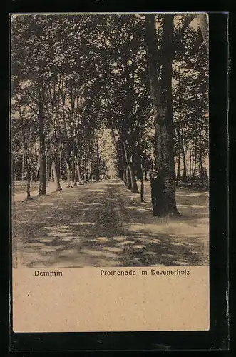AK Demmin, Promenade im Devenerholz