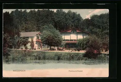 AK Wiesbaden, Fischzucht-Anstalt