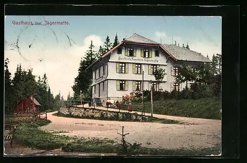 AK Feldberg /Schwarzwald, Gasthaus zur Jägermatte mit Kühen