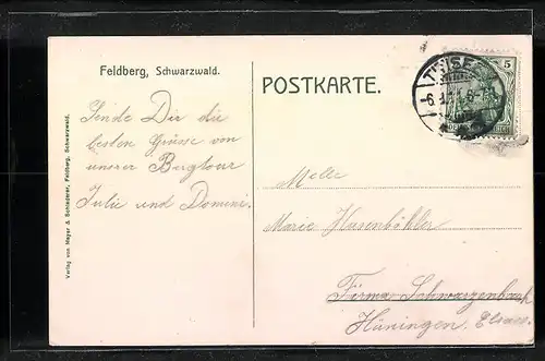 AK Feldberg /Schwarzwald, Gasthaus zur Jägermatte mit Kühen