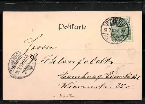 AK Reinfeld i. H., Markt und Friedenseiche