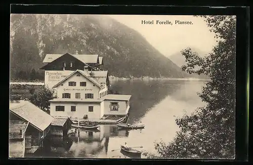 AK Breitenwang, Hotel Forelle am Plansee