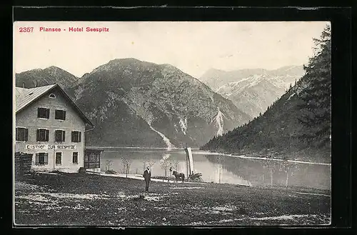 AK Breitenwang, Plansee mit Hotel Seespitz