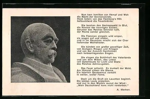 AK Friedrichsruh, Sonnwendfeier der Deutschen Studentenschaft 1915, Bismarck-Statue