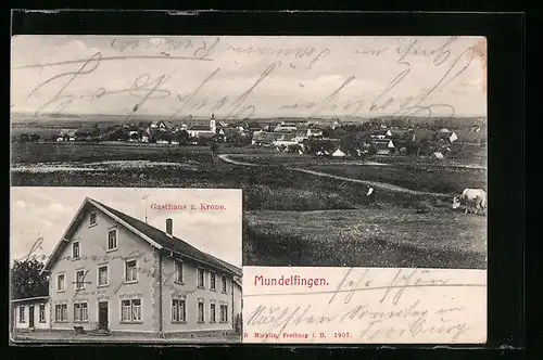 AK Mundelfingen, Gasthaus zur Krone, Ortsansicht